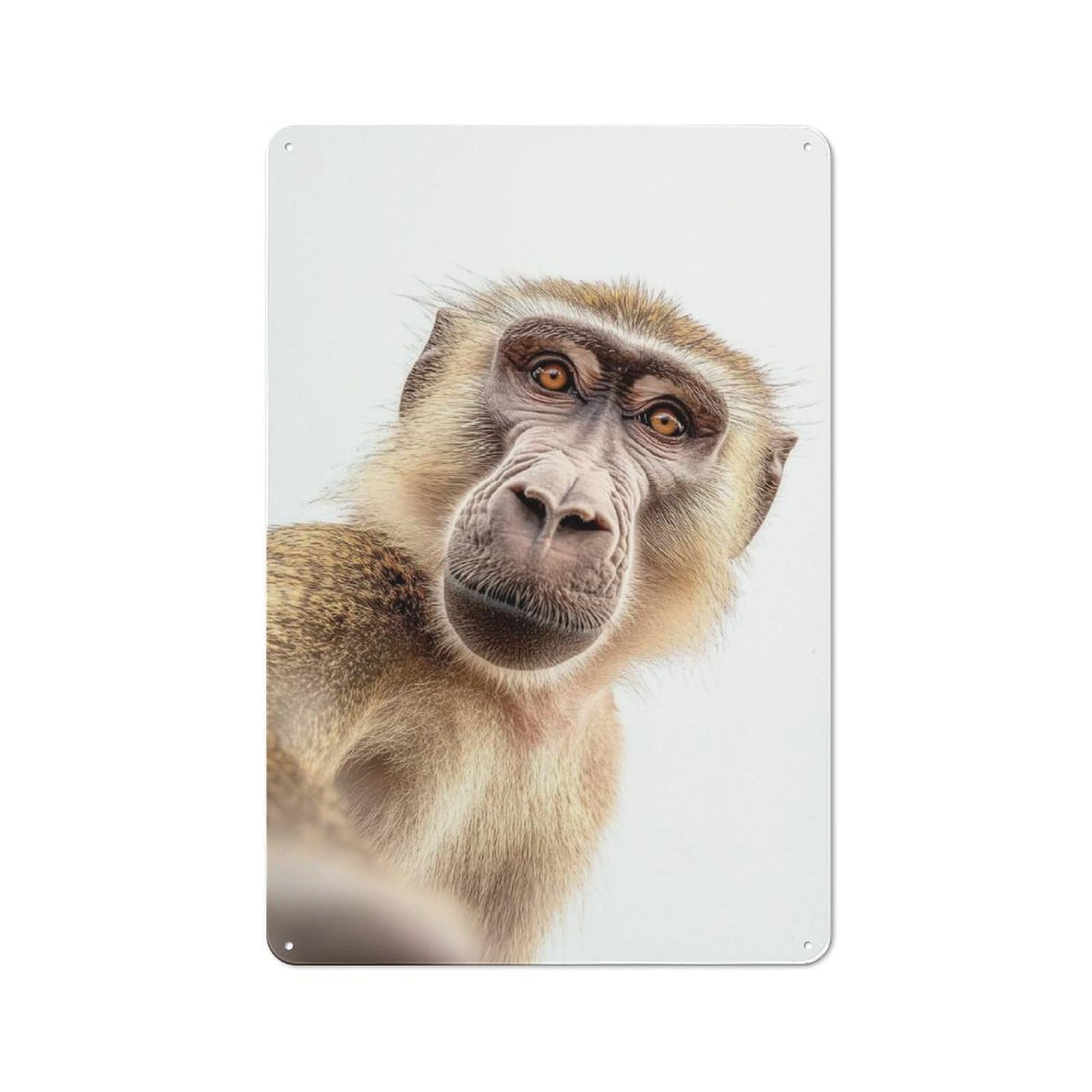 Junmoney A Baboon Taking A Selfie Tin Sign 30X20cm With For Bar Or Restaurant, Retro Decor, For Garage, Workshop And Man Cave Decoration