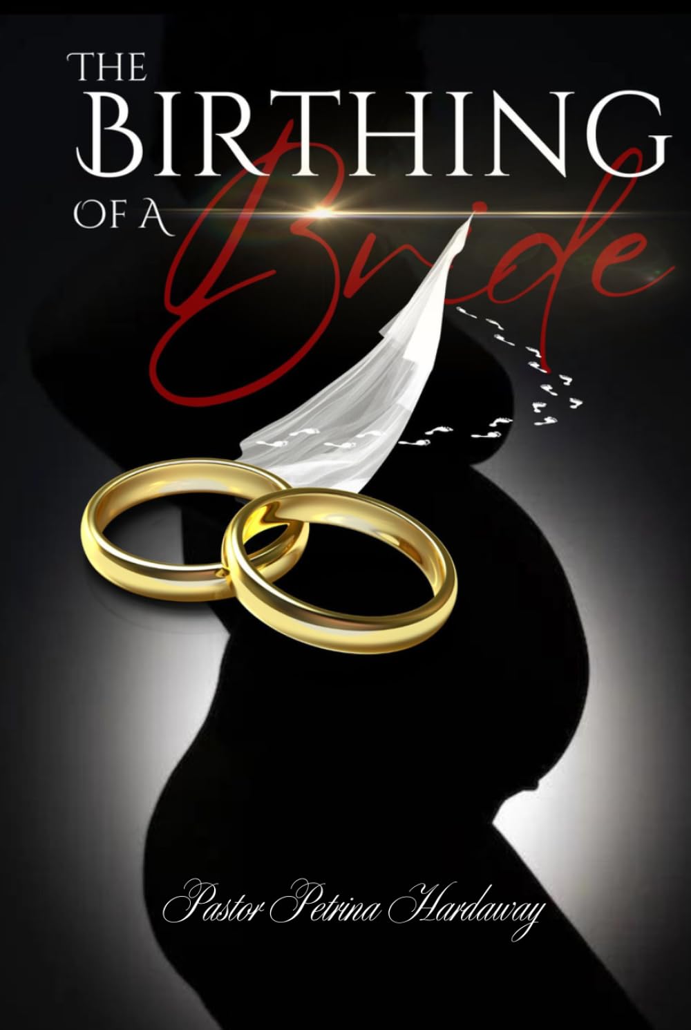The Birthing of a Bride: Here Comes the Guide to Becoming Your Husband's Prize