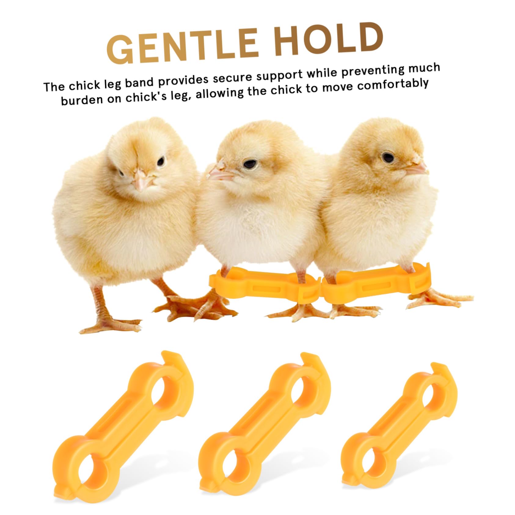 Hühnerbeinspreizstütze 12 Stück PVC, 4/5/6mm Öffnungen für Küken | Gelb, Einfache Anwendung und Entfernung, Fördert Gesundes Wachstum, Zubehör für Heimvögel Vogelbedarf