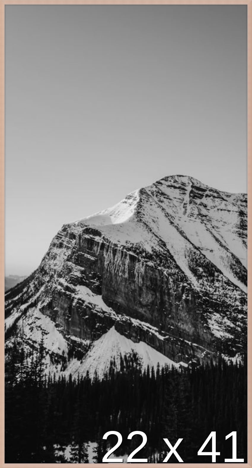 Frame It Easy 22 x 41 Rose Gold Metal Frame (Ashford)