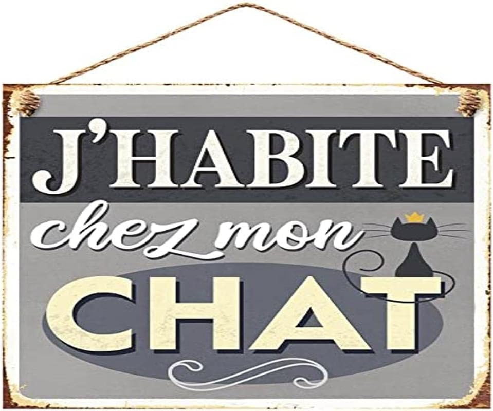 Plaque Métal Déco Chat – 30 X 20 Cm – Neuve – Marque Générique