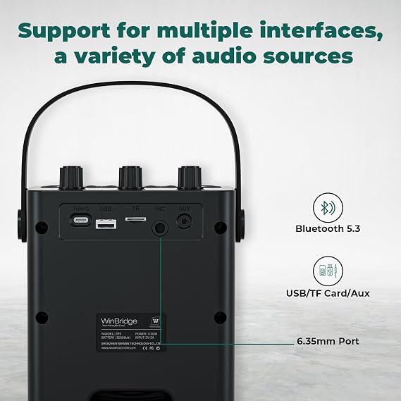30W Wireless Voice Amplifier with Headset Microphone