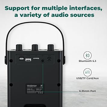 30W Wireless Voice Amplifier with Headset Microphone