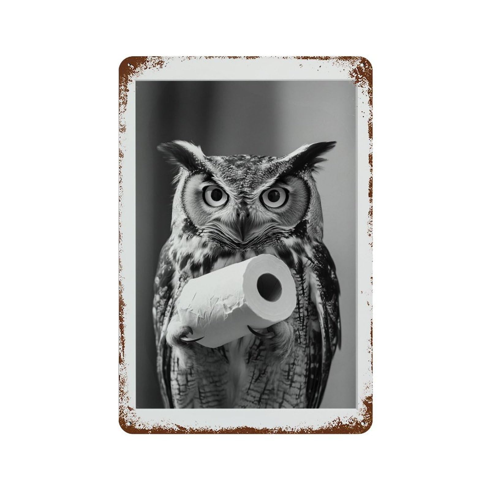 xiaoxiaoshen Owl Photography S Wall Decor Art Metal Tin Poster Modern Home Decor Art Home Bar Shop Decorations Vintage Sign 30x20cm