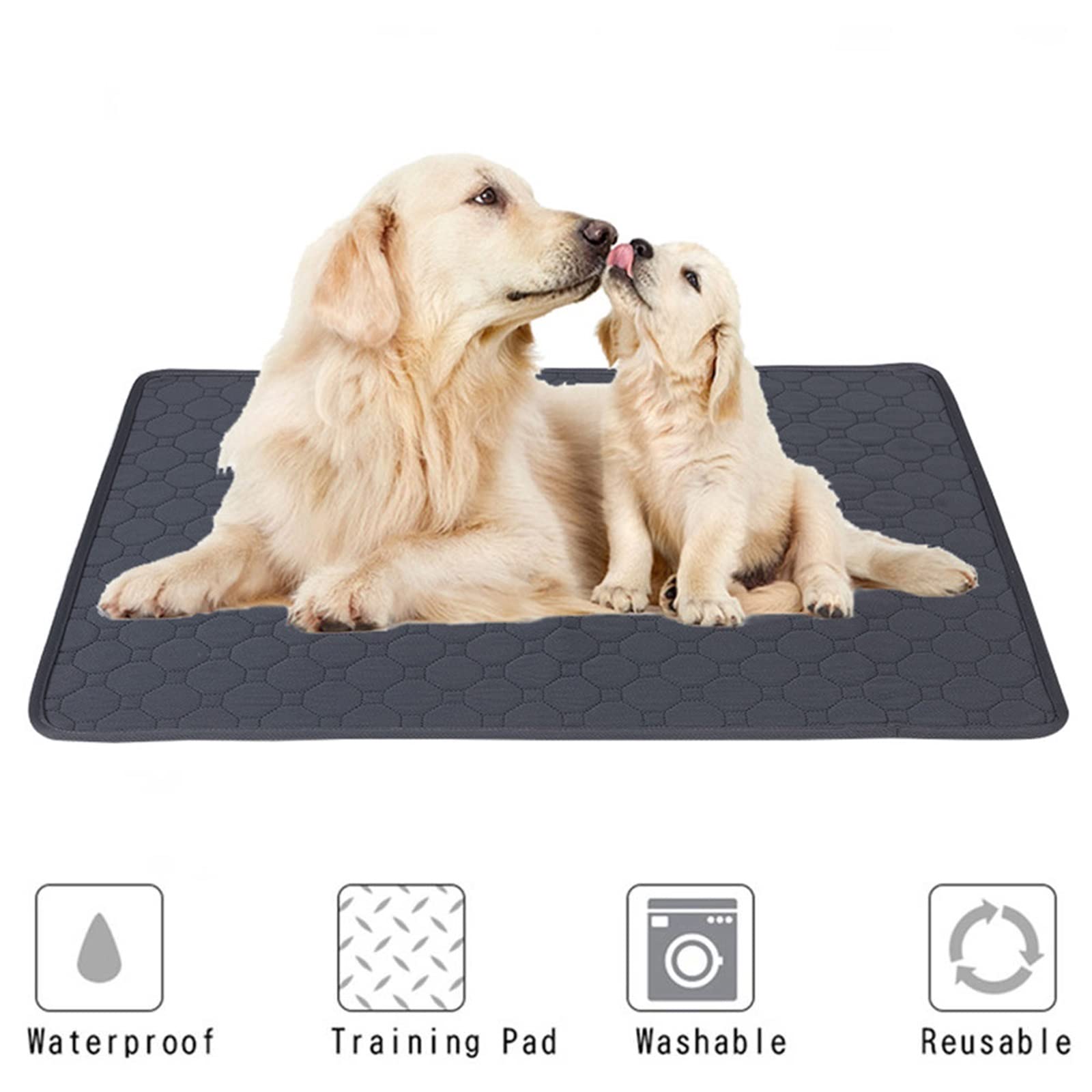 Alfombrilla Lavable Para Perros: Absorbente, Antideslizante Y Reutilizable - Ideal Para Entrenamiento Y Protección Del Suelo
