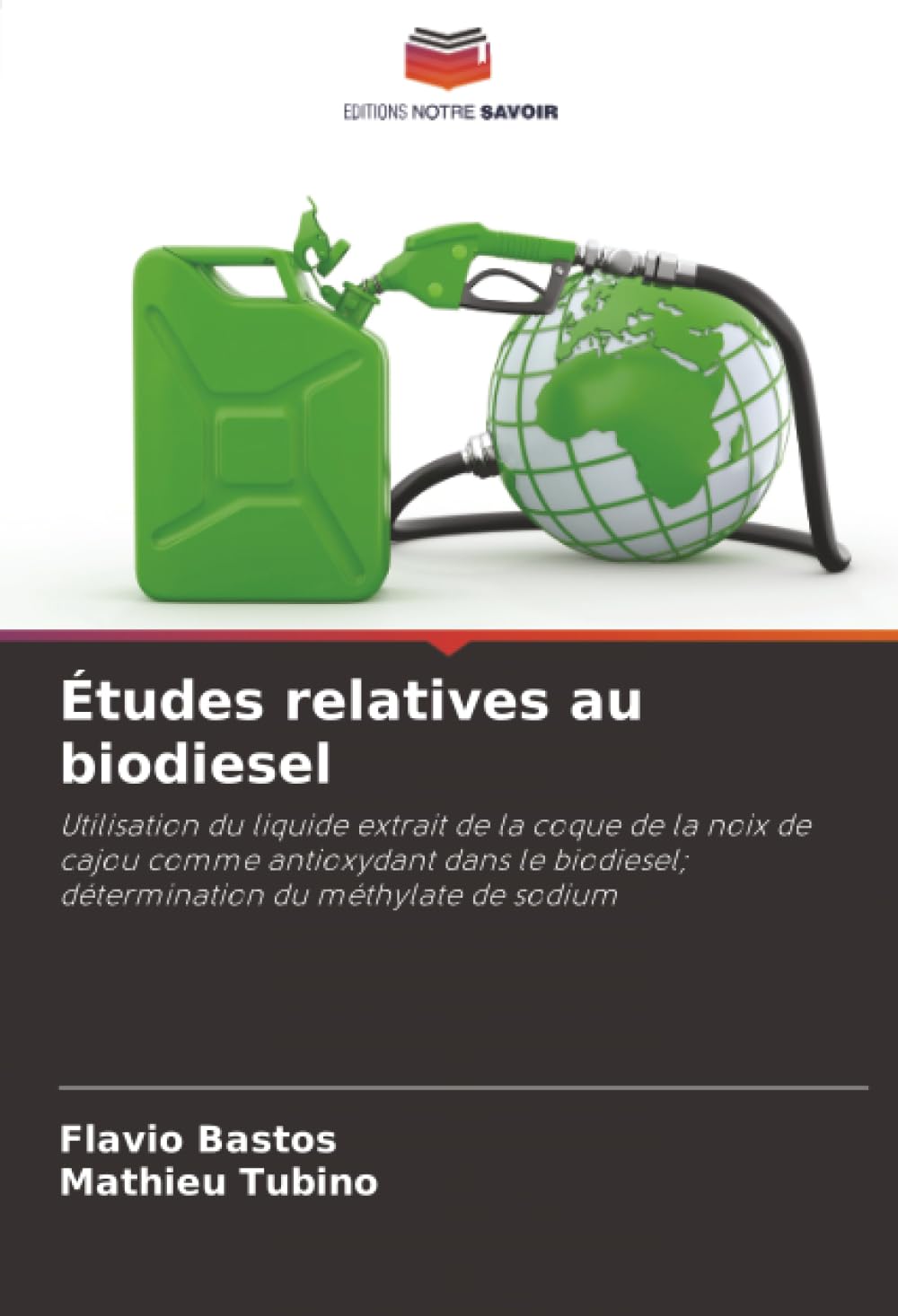 Études relatives au biodiesel: Utilisation du liquide extrait de la coque de la noix de cajou comme antioxydant dans le biodiesel; détermination du méthylate de sodium