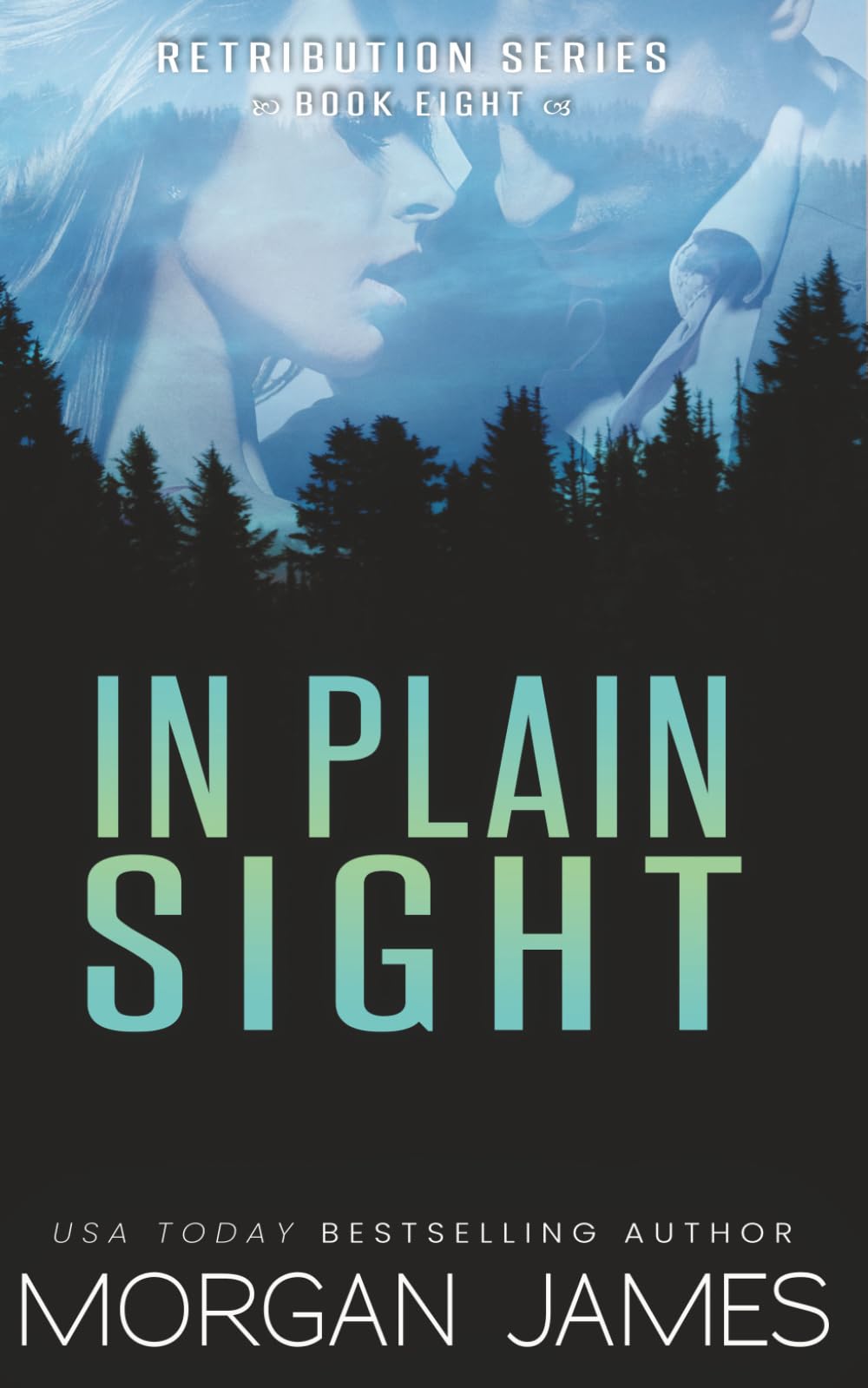 In Plain Sight (Retribution Series)