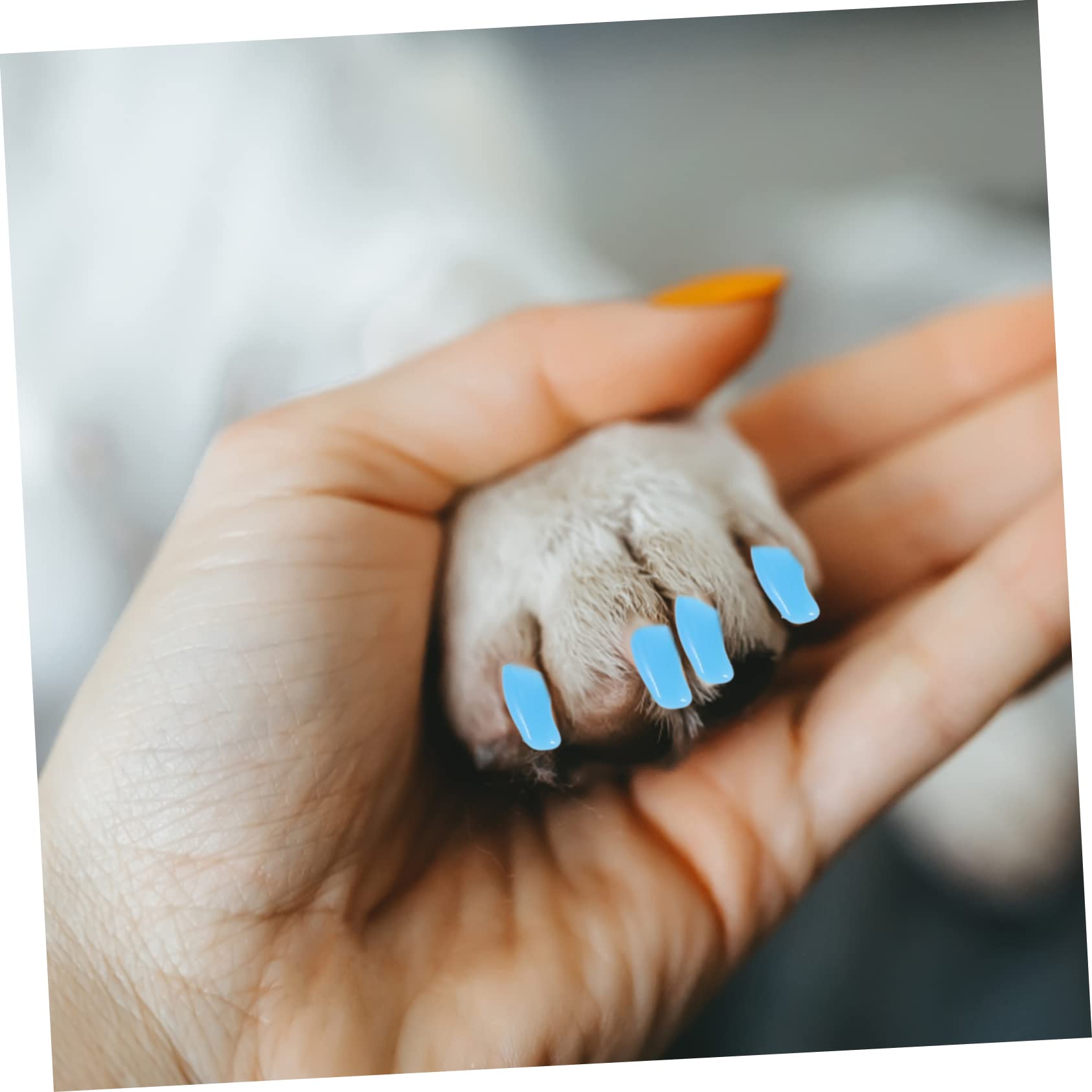 Sosoport 30juegos Cubiertas De Uñas para Gatos y Protección Efectiva De para Cuidado De