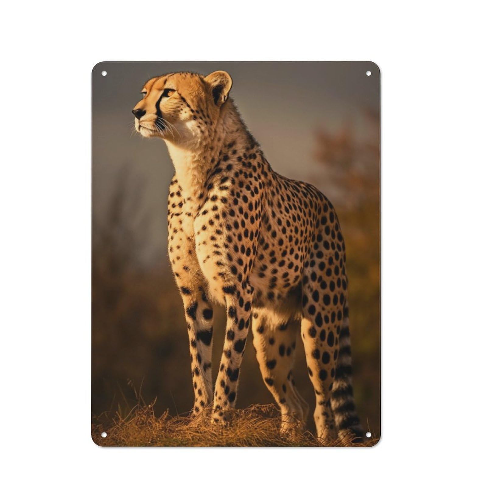 Junmoney Majestic Cheetah Close Up Kitchen Metal Sign With Design 40X30cm, Cosy Kitchen Wall Decor For Coffee Bar, Kitchen, Bistro Or Tea Corner