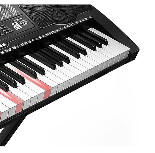 Amazon.com: 61 Key Portable Electronic Keyboard Piano w/Lighted