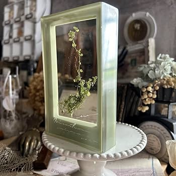 Amazon.co.jp: errer 根っこ付き水草 筆記体 植物標本