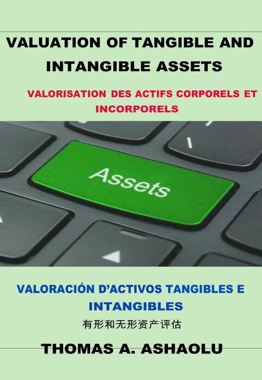 Valuation of Tangible and Intangible Assets