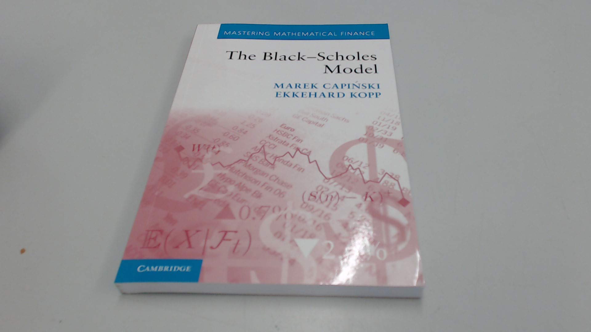 The Black-Scholes Model (Mastering Mathematical Finance)