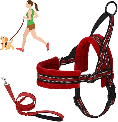 harness leash combo