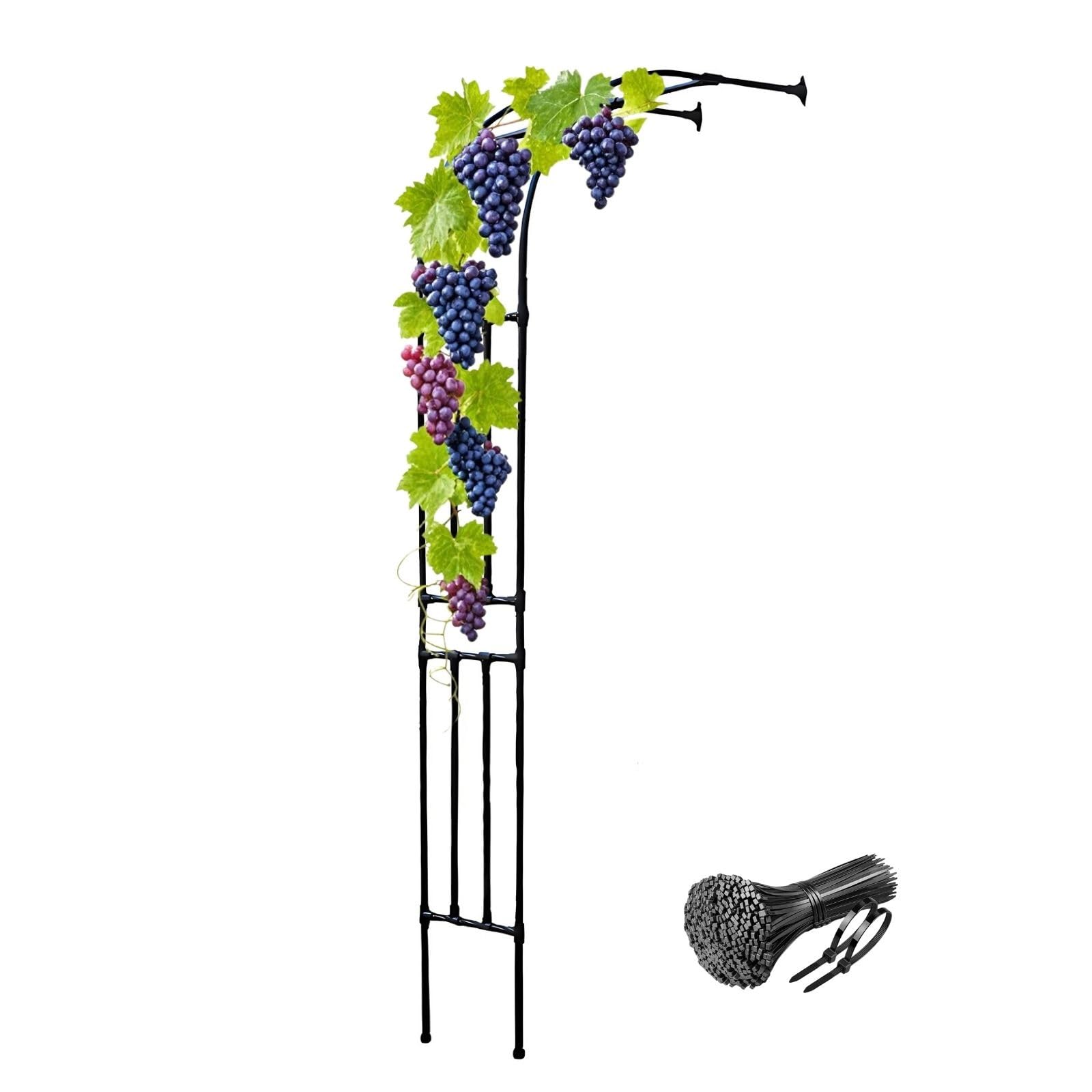 Arche de jardin pour roses et glycines grand treillis extérieur noir 220cm