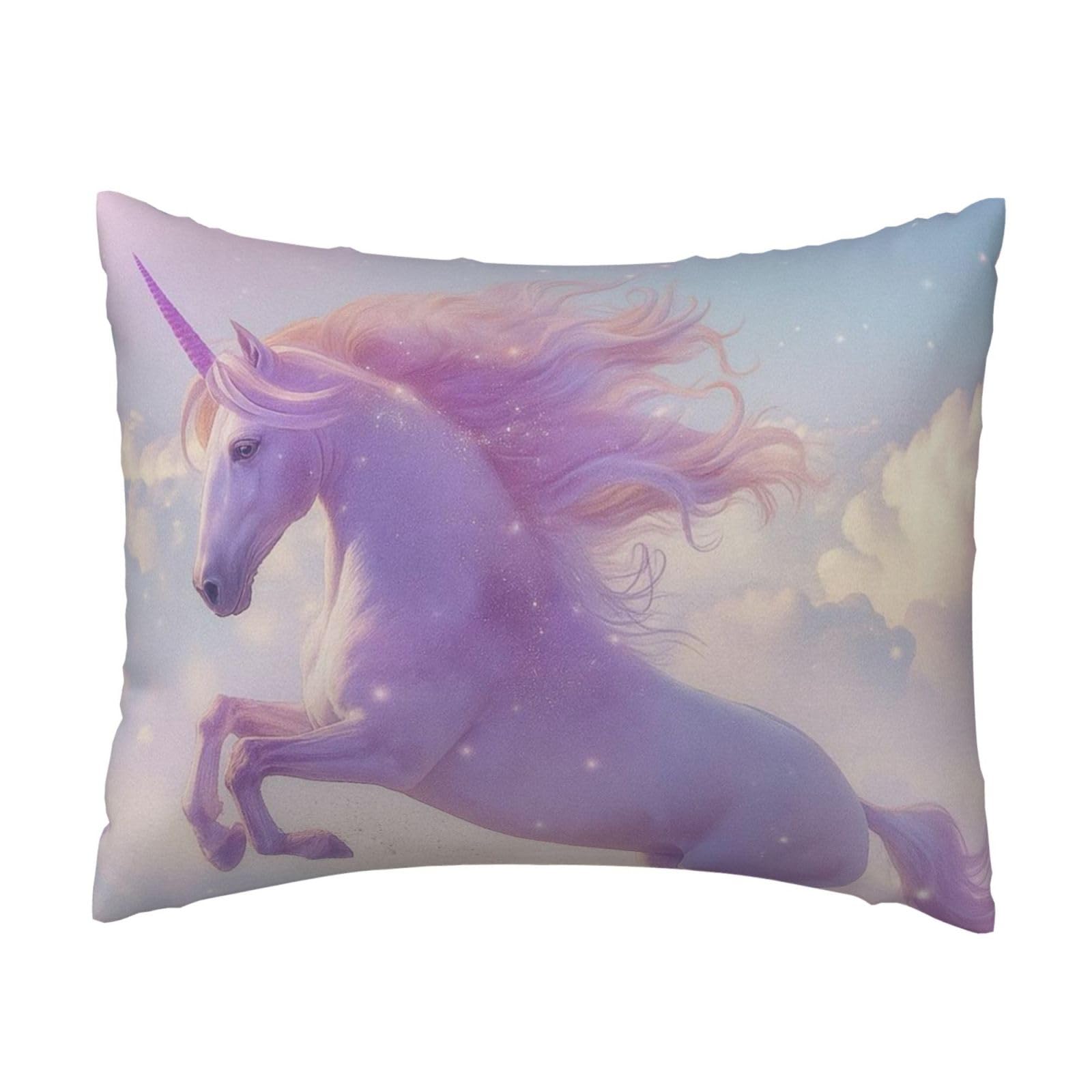 Elegant Unicorn on The Cloud Pillowcase Soft Plush with Zipper Decorative Pillowcovers 16x20 in