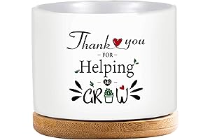 Funny Plant Pots for Teacher Appreciation