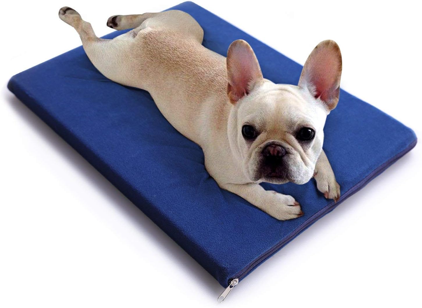 lesotc Dog Cooling Mat Non-Toxic