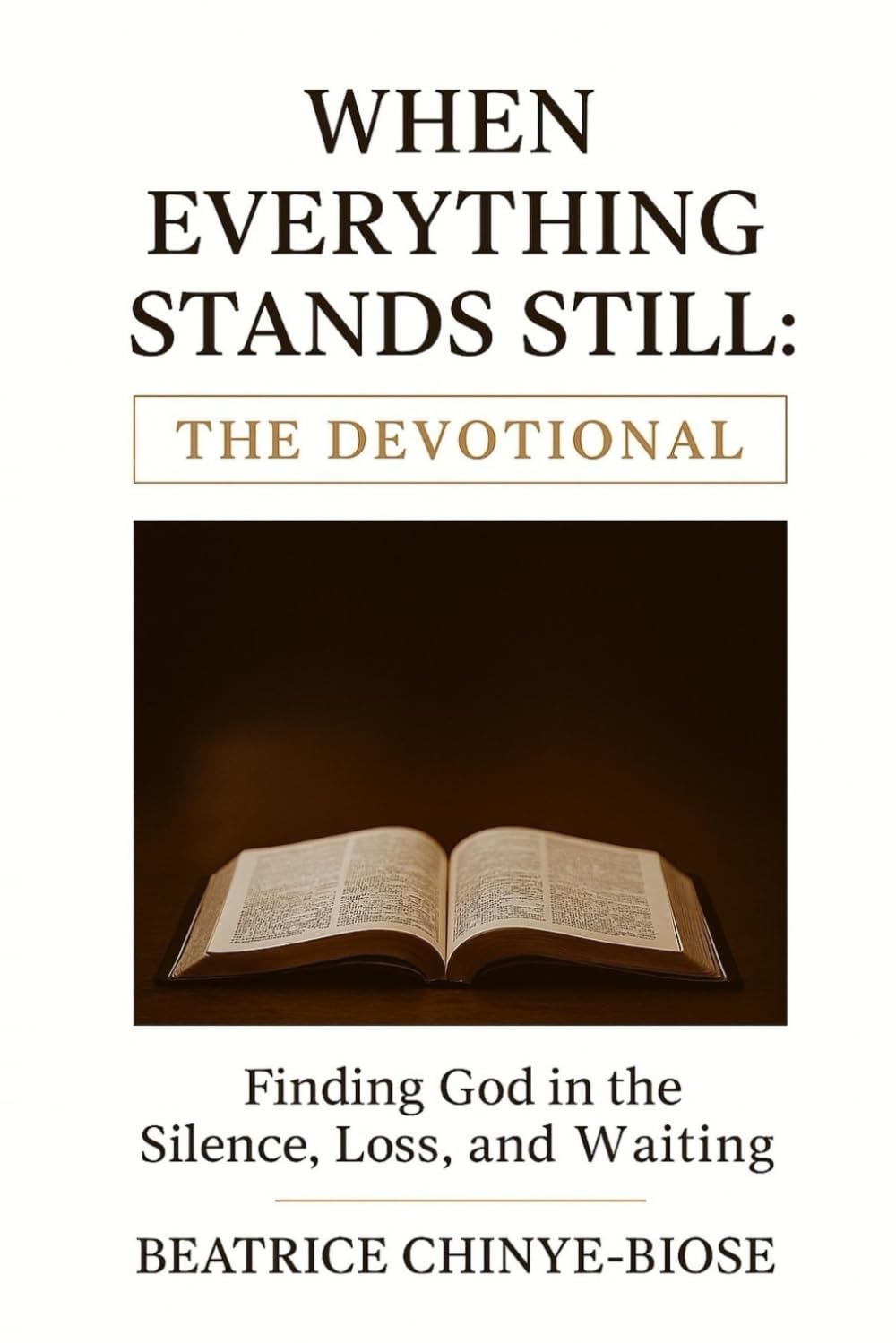 WHEN EVERYTHING STANDS STILL: THE DEVOTIONAL: Finding God in the Silence, Loss and Waiting (WHEN EVERYTHING STANDS STILL: Finding God in the Silence, Loss and Waiting)