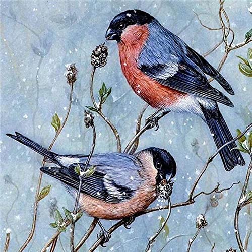 Puzzle de 1000 Pièces-Petit Oiseau, Casse-tête de Bricolage avec pour Enfants Adultes, Jeux Éducatifs Idéaux pour Détente, Méditation, Loisirs(75 * 50cm) Cover