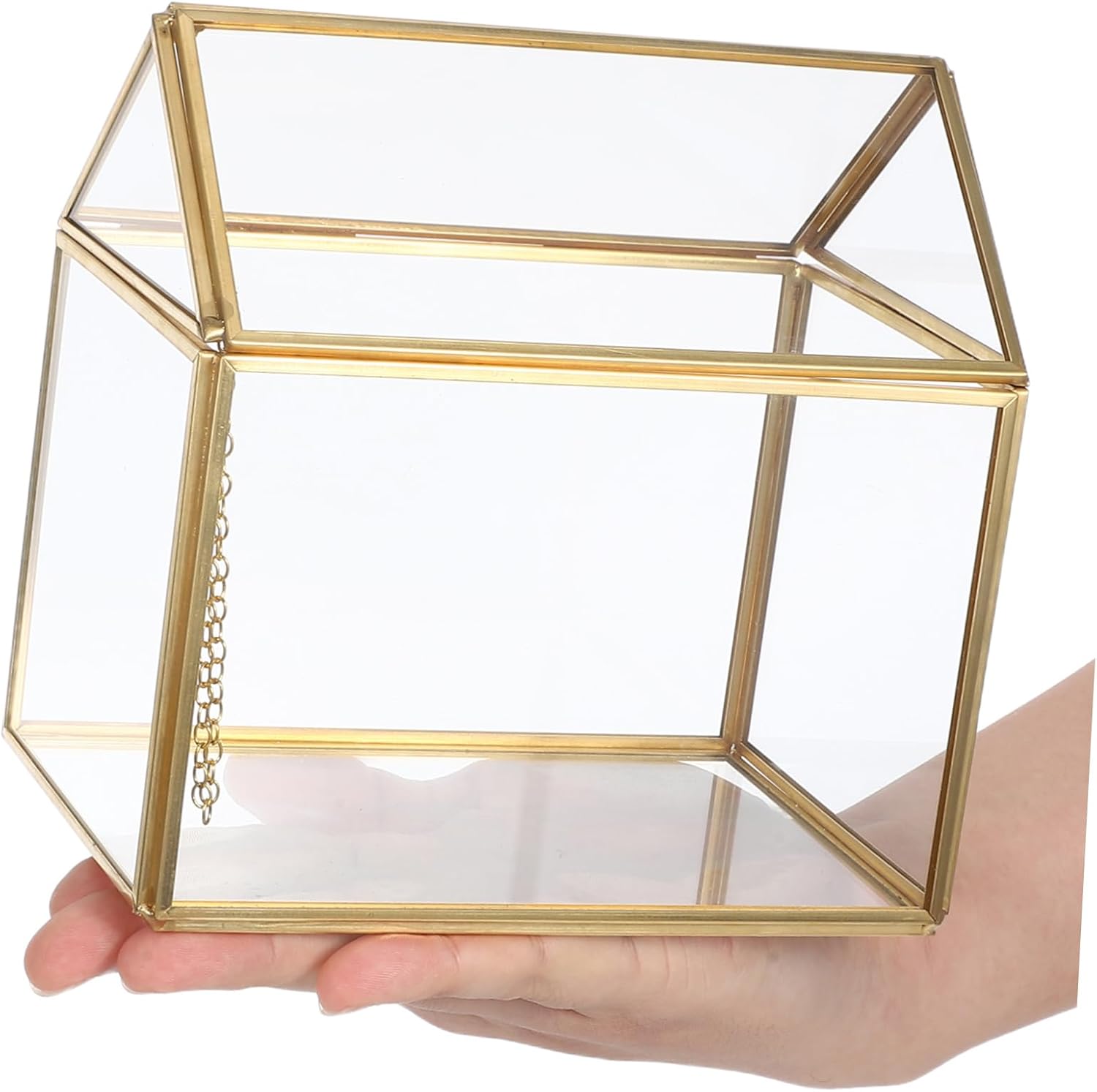 Ciieeo Creative House Shape Geometric Succulent Planter with Swing Lid Indoor Moss Display for Tabletop Miniature Gardens for Home and