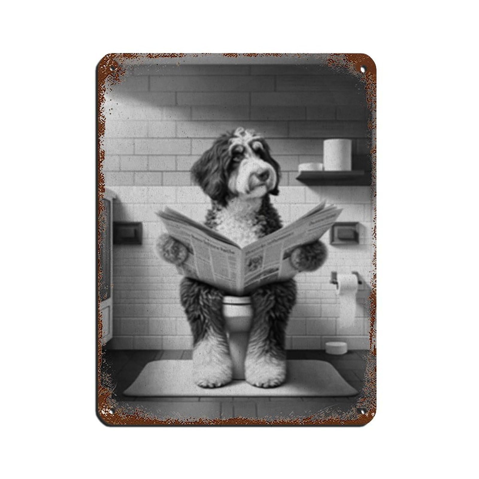 Bernedoodle Dog Art, Funny Bathroom Tin Sign Vintage Metal Pub Club Cafe Bar Home Wall Art Decoration Poster Retro 12x16inch(30x40cm)