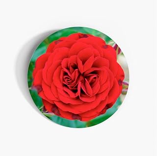 English Red Rose Flower Decor Paper Labels, 37mm Self-adhesive Stickers, Multipack Stationery Craft Decorative Labels (White Vinyl Labels, Pack of 450)