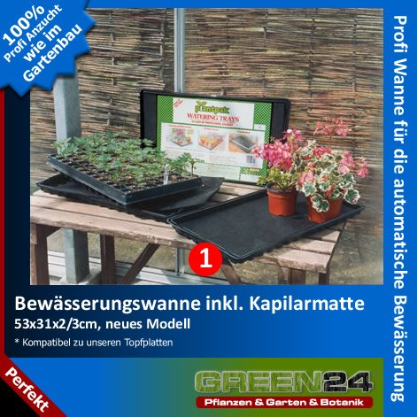 Selbstbewässerung Pflanzuntersetzer 4-teilig - Automatische Bewässerung Für Balkon & Gewächshaus | 35cm Durchmesser
