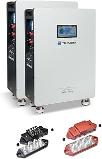 ECO-WORTHY 48V 280Ah(2 Pack) LiFePO4 Battery, Powerwall Lithium Battery with 250A Circuit Breaker, 200A PACE BMS, Floor Standing&Wall Mount Design, Perfect for Off-Grid, Solar, Backup Power