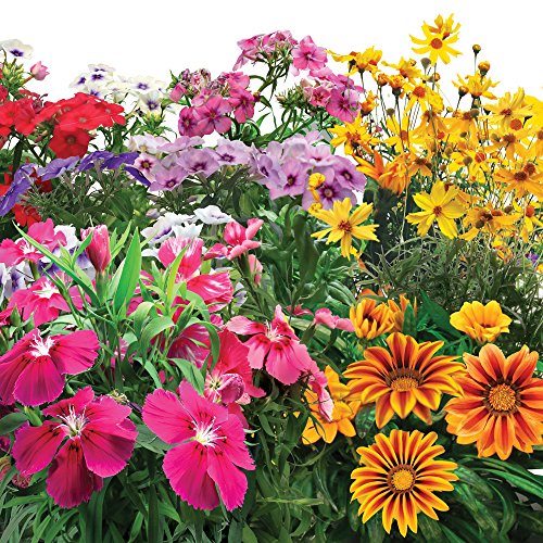 AeroGarden Mountain Meadows Flower Seed Pod Kit (7pod) Weekly Ads Online