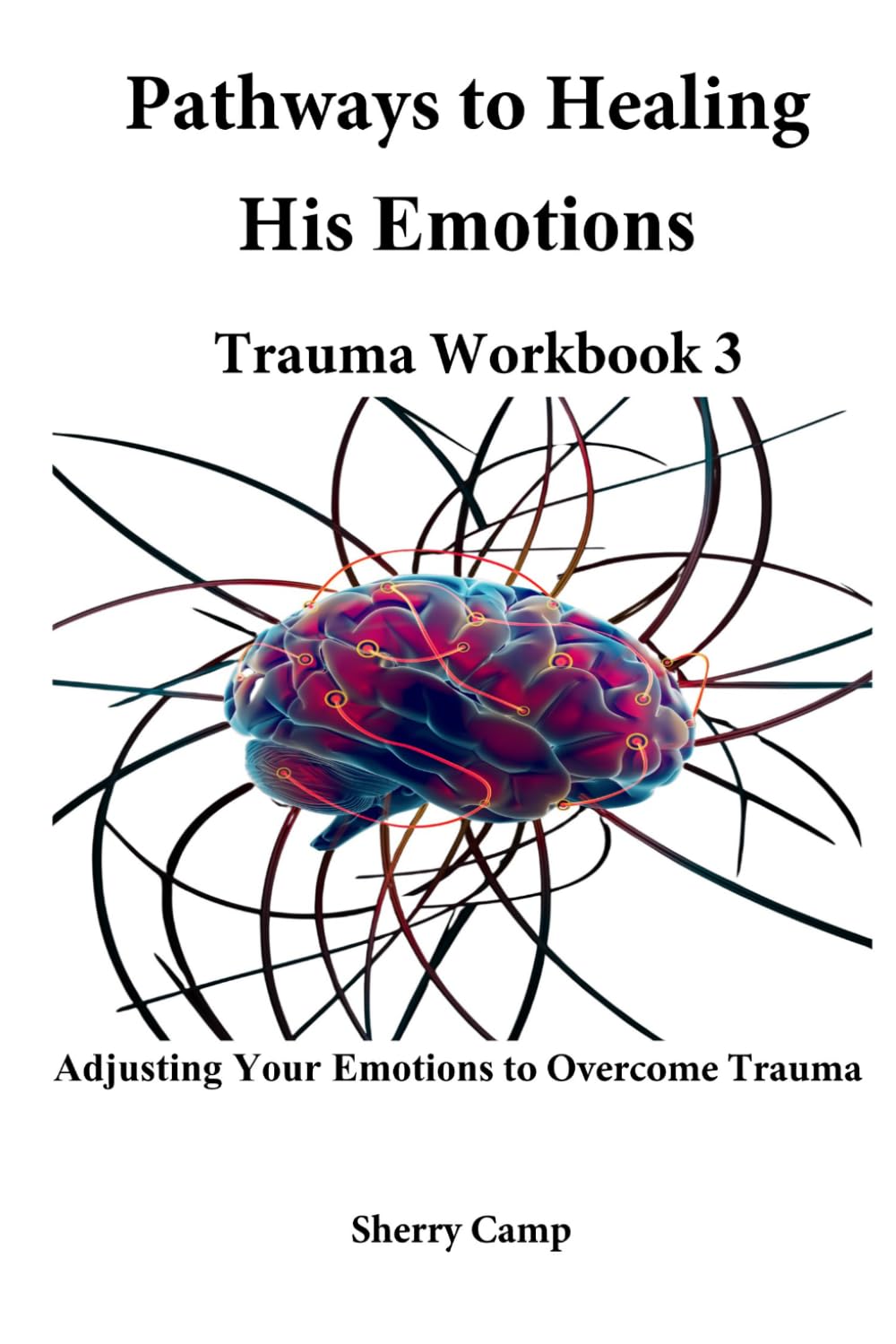 Pathways to Healing His Emotions: Trauma Workbook 3 (Pathways to Healing Trauma Workbooks)