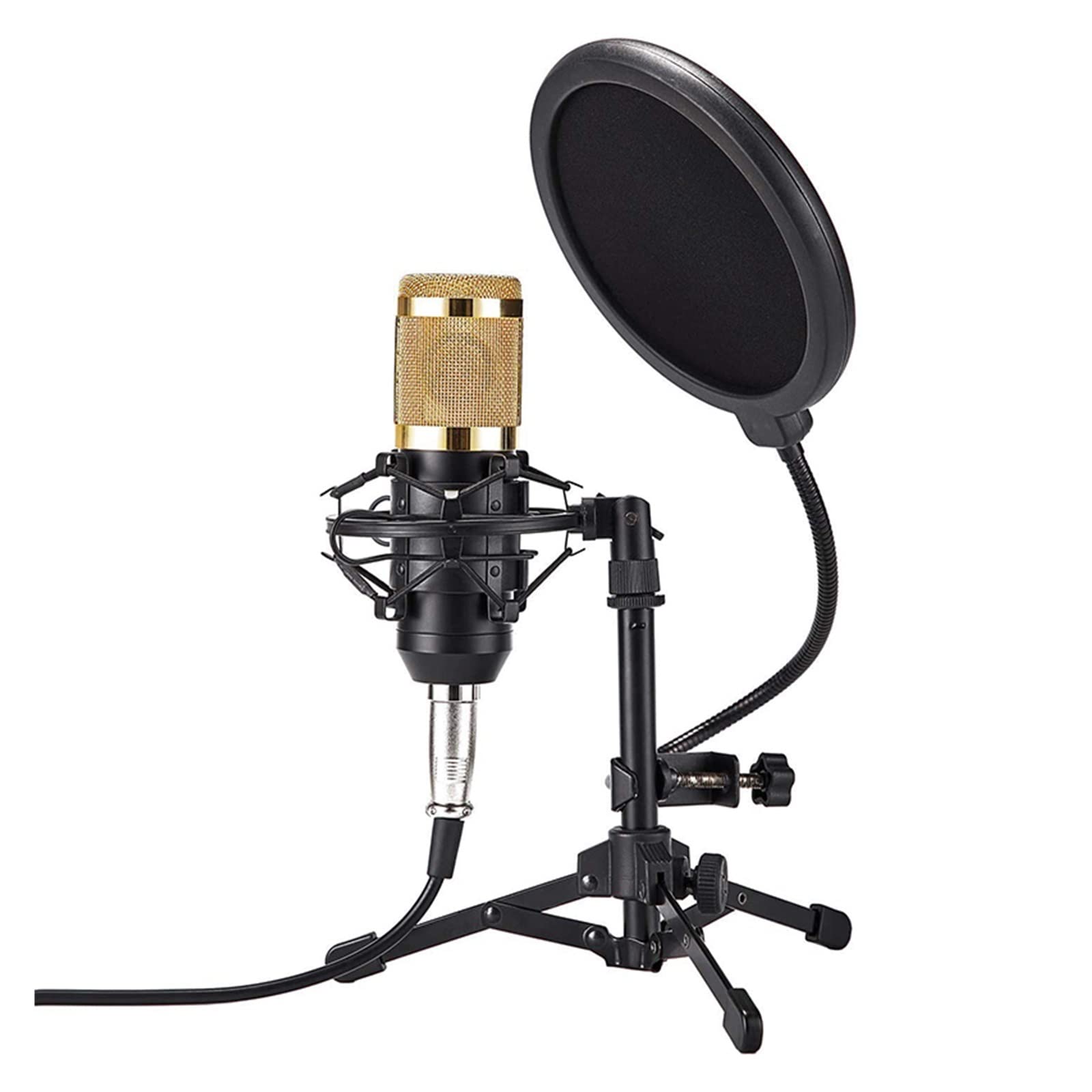 Microphone de bureau PC ZY-801 or avec kit complet de studio pour enregistrement