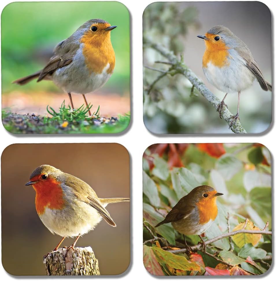 4 x Square Robin Coasters - Garden Birds Animals Nature Redbreast Wildlife Gift #77920