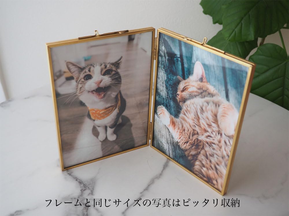 ゴールドカラー 写真額縁 2個セット Amazon.co.jp: フォトフレーム 2l / l判 2面 ガラス 真鍮 ゴールド 2枚