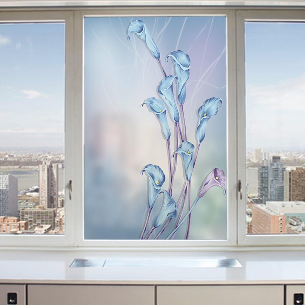 decalcomania per la privacy