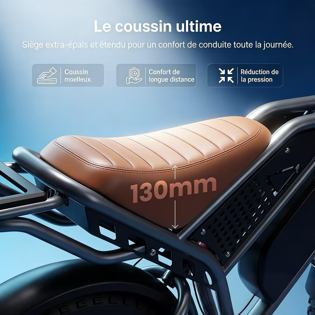 DEEPOWER QS7 Vélo Électrique, Batterie Amovible 48V 60Ah/35Ah/20Ah, Autonomie 110-250KM, Moteur 120 N·m, Pneu Gras 20'' X 4.0, 7 Vitesses, Suspension Hydraulique Complète