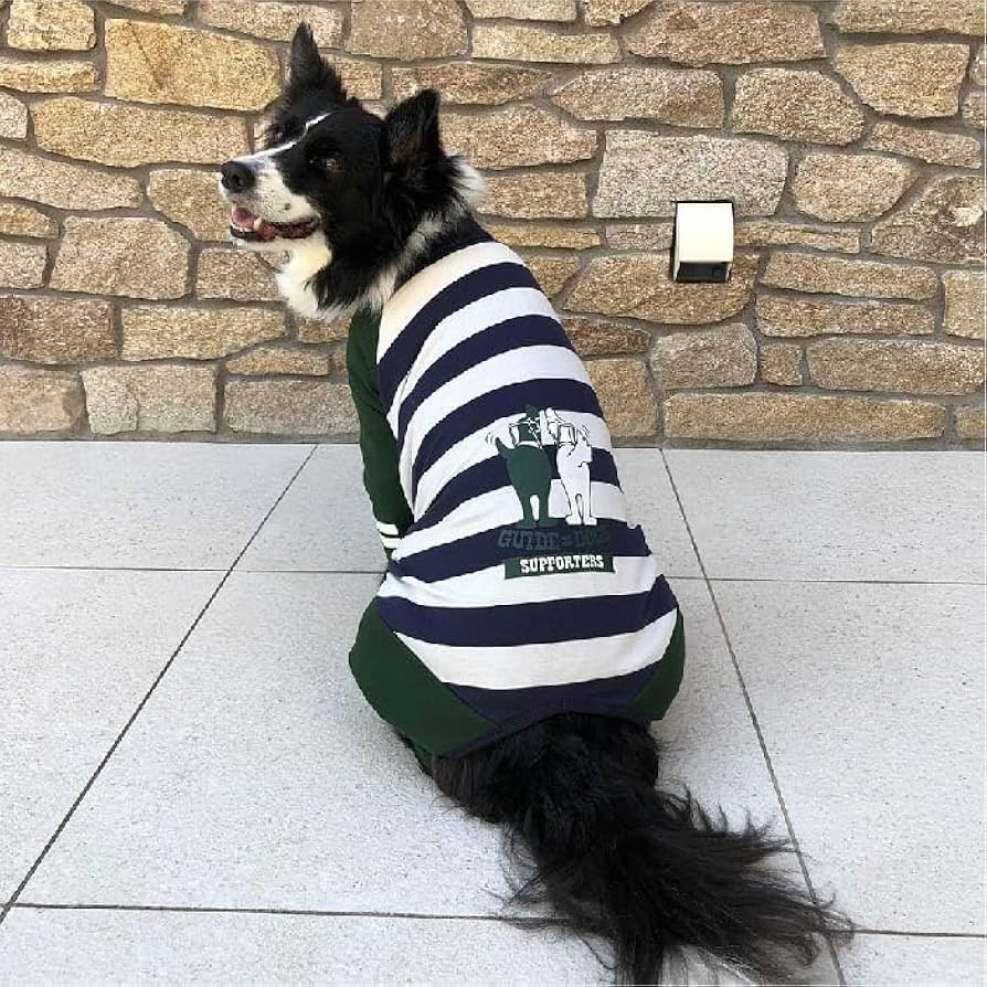 Amazon | 犬服 VERY 盲導犬サポートカバーオール ボーダー