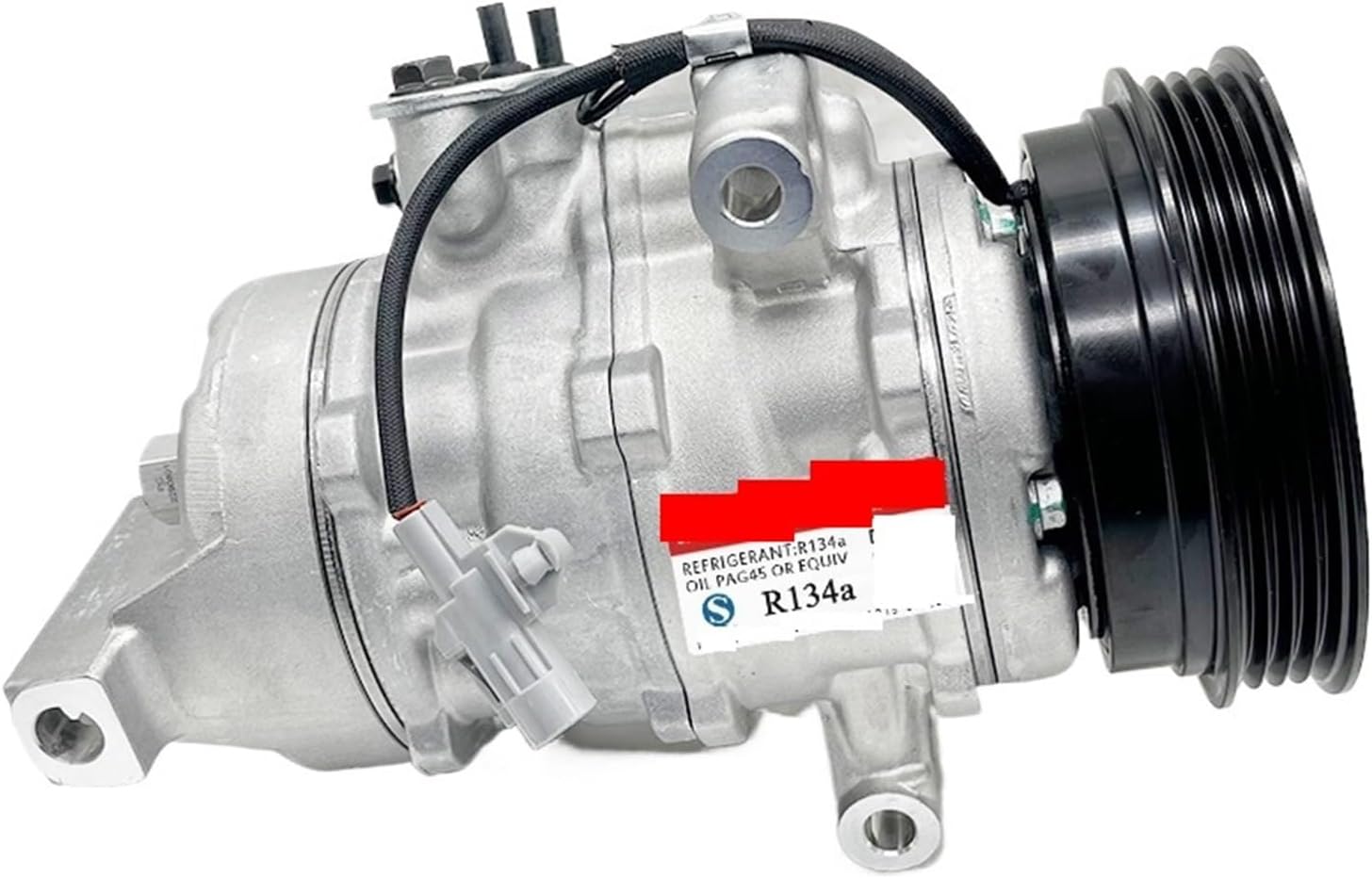 6 最高級 スーパーブルー ドワーフ サイカス カイルンシアナ