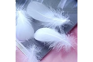 100 Piece White Natural Goose Feathers - A Touch Of Nature For Your DIY Creations