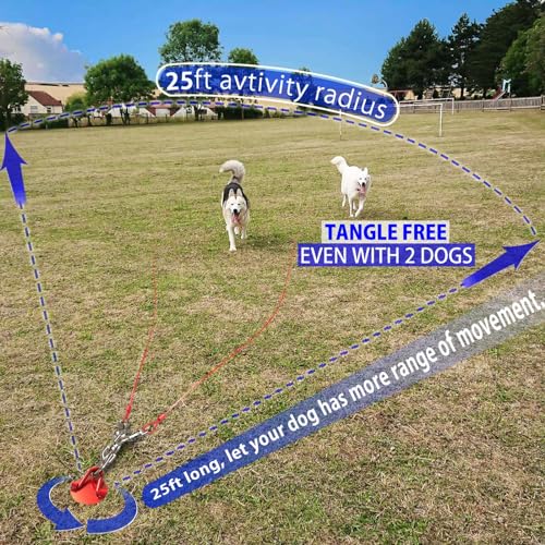 Heavy Duty Dog Tie Out Cable and Stake - 360° No Tangle Dog Yard Stake and Leash for Small to X-Large Dogs or Two Dogs Up to 180 lbs with Stainless Steel Swivel Rings - Great for Yard Camping Park