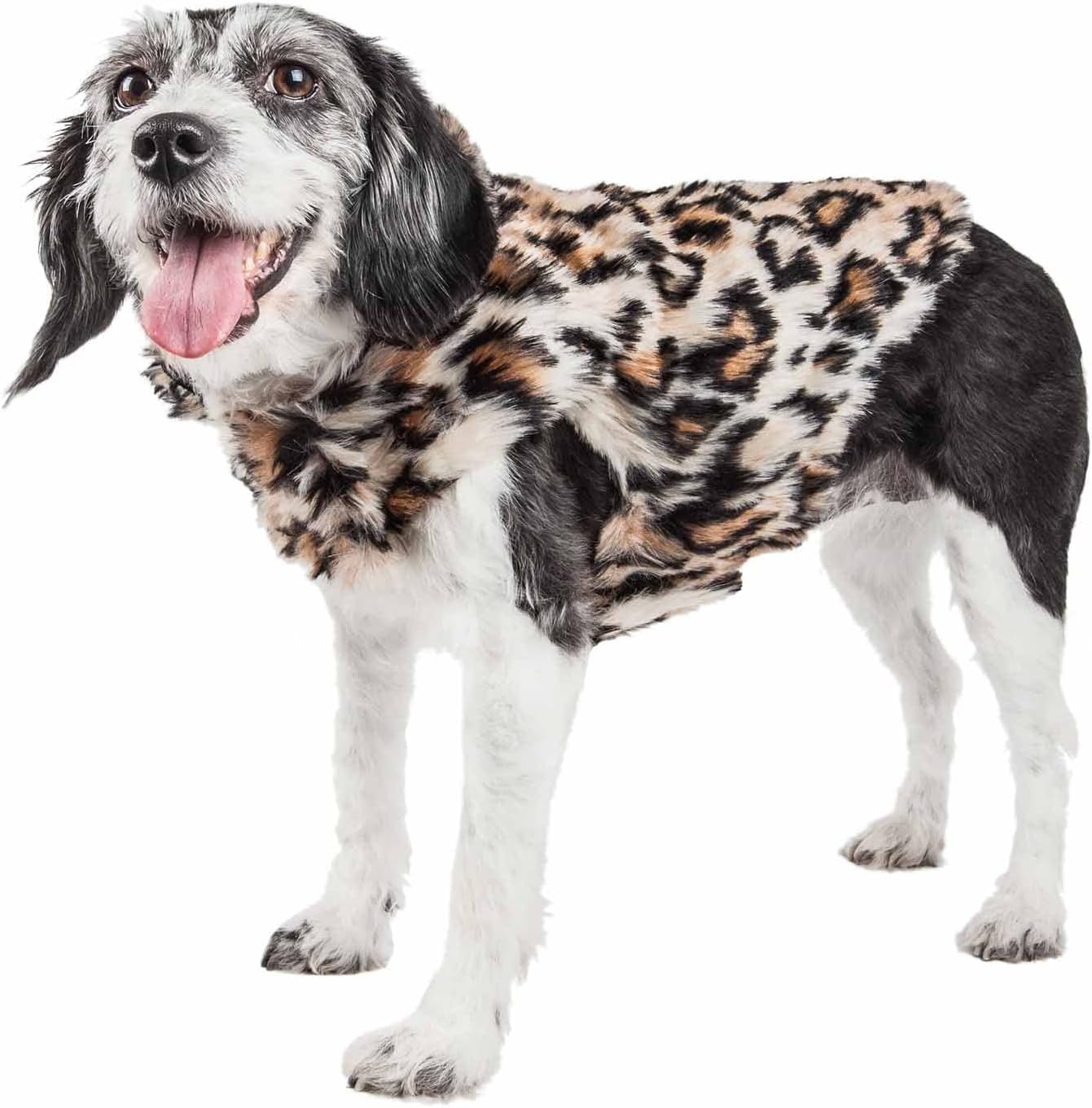 leopard dog coat