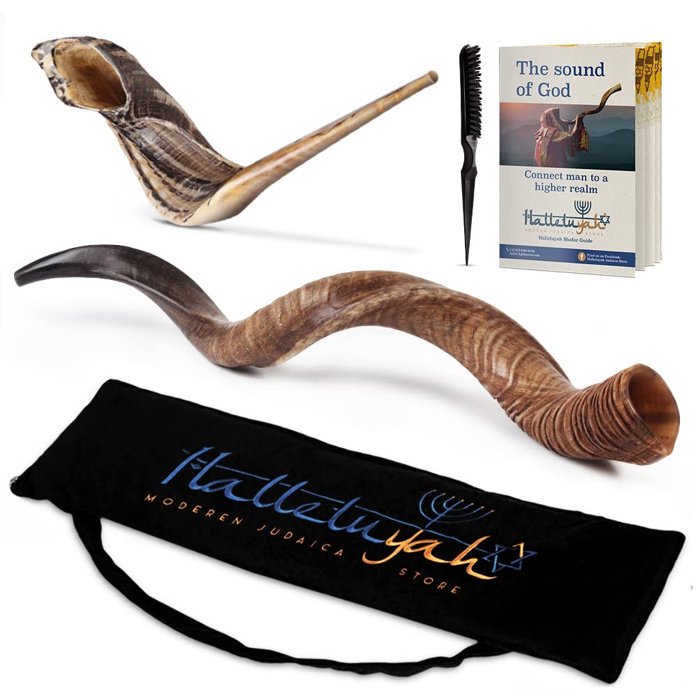 HalleluYAH Shofar from Israel Half Polished 24"28" Kudu Horn Shofar With FREE BUNOS Ram Horn