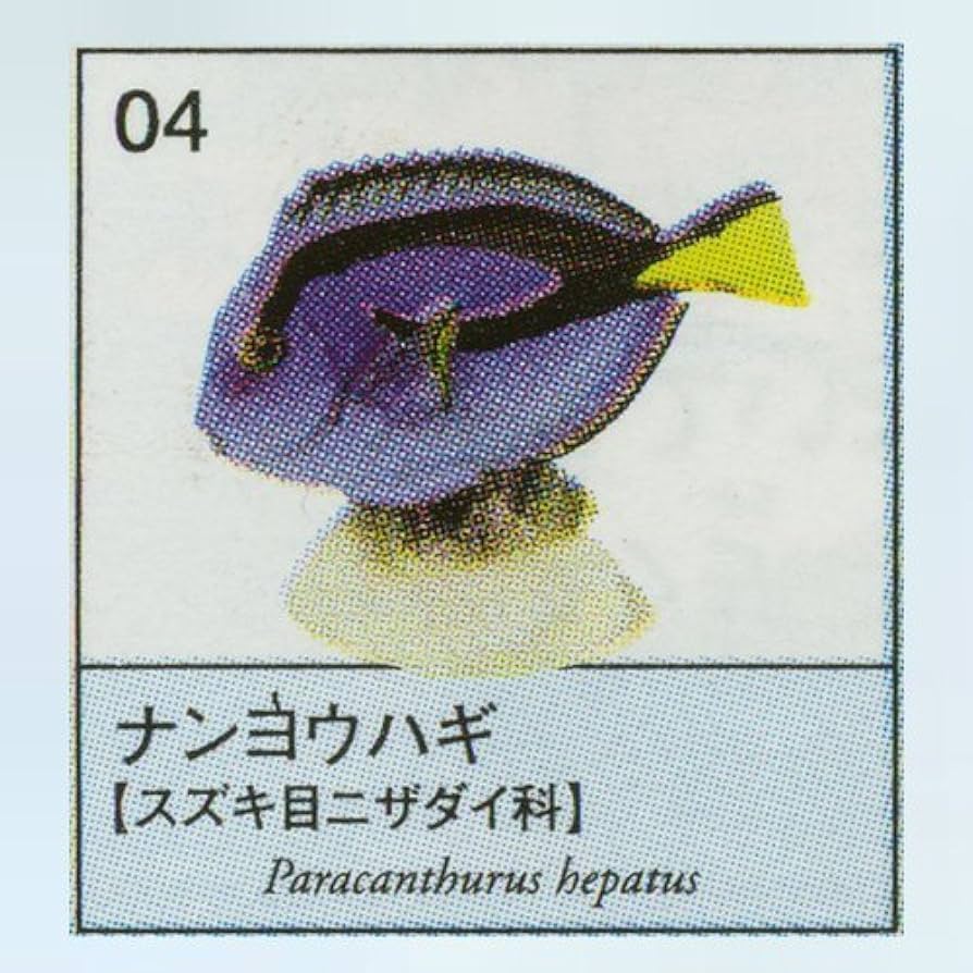 Amazon.co.jp: ユージン 原色図鑑シリーズ10 原色海水魚図鑑1
