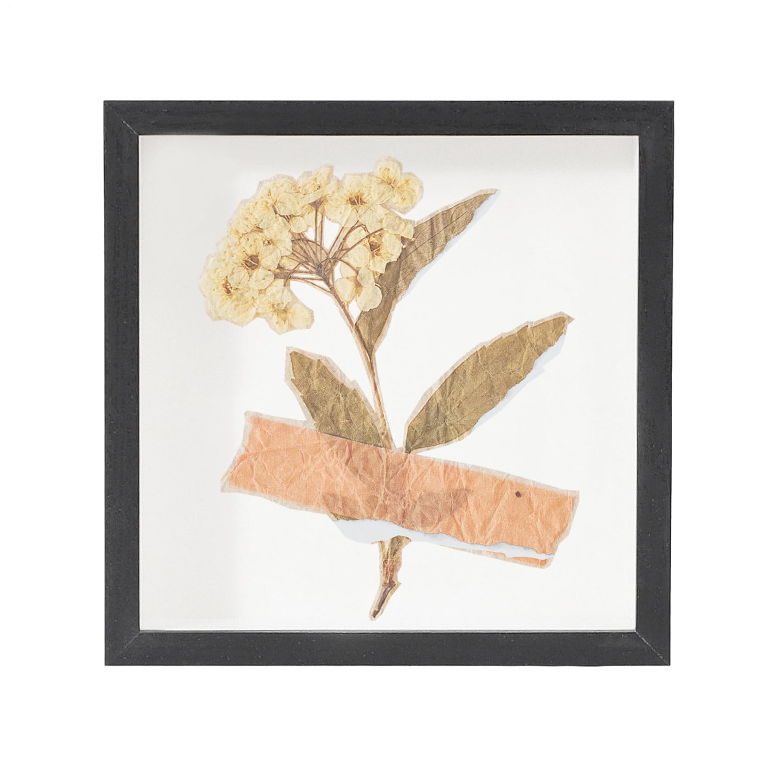 Vitrina de recuerdos de pared transparente ideal como regalo para novia