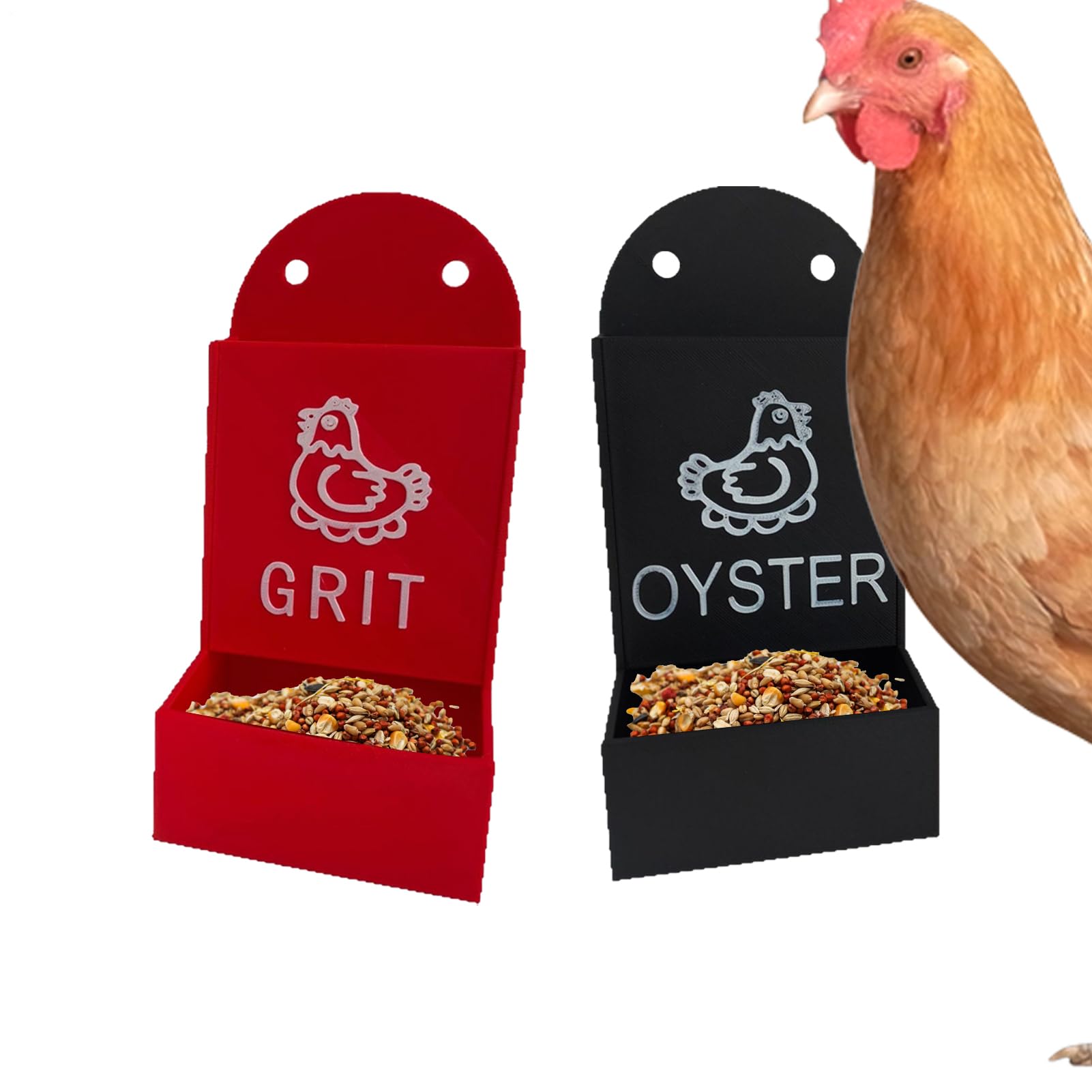 Distributeur d'huitres pour poules et mangeoire volaille de basse-cour