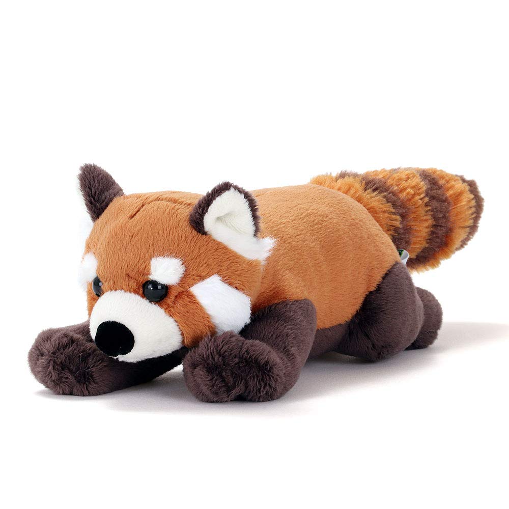 Amazon.co.jp: カロラータ レッサーパンダ ぬいぐるみ (ねそべり