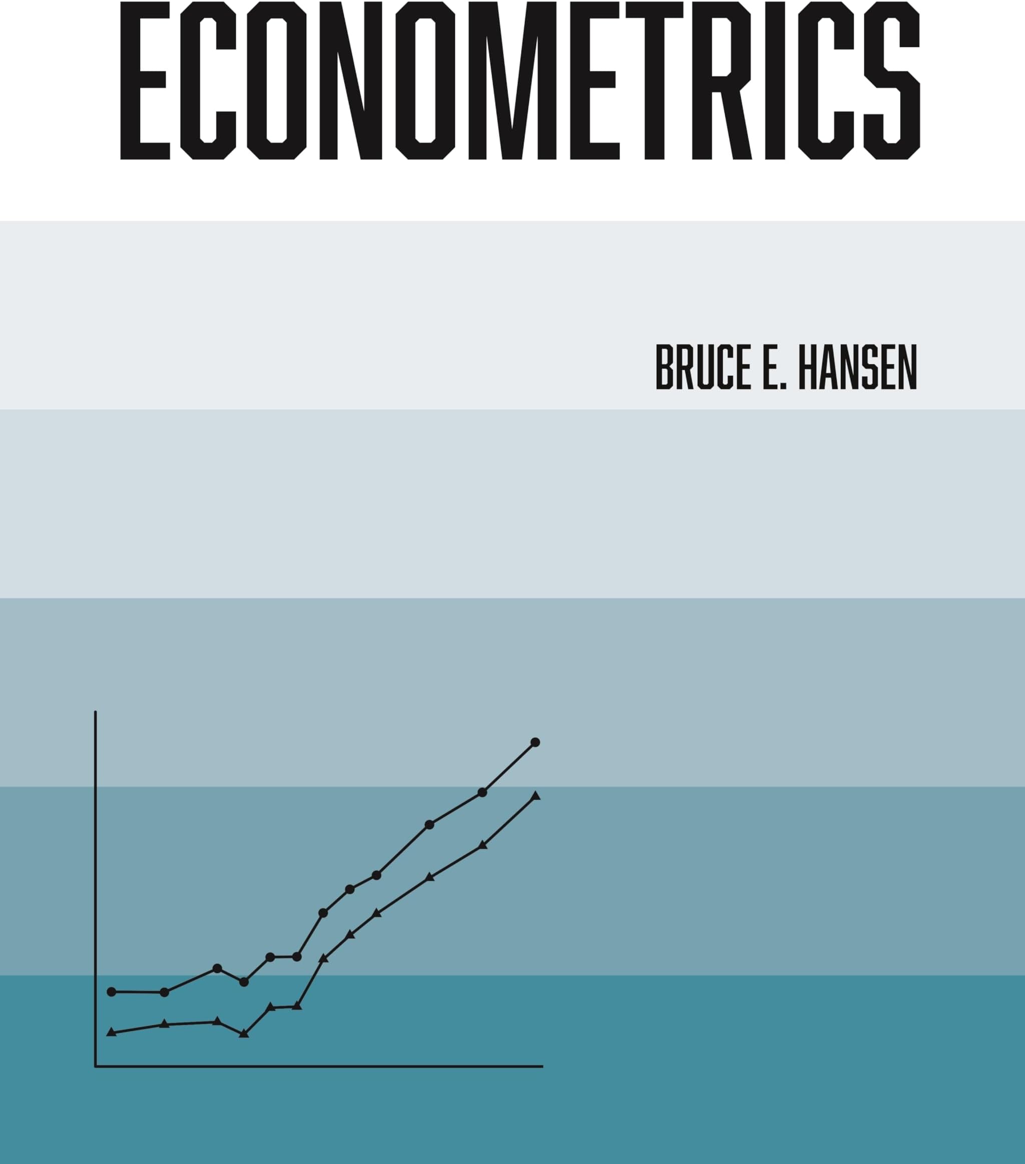 Econometrics Hardcover – Import, 16 August 2022