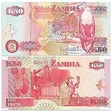 Fügen Sie eine spannende Reihe von Weltwährungen zu Ihrer privaten Sammlung, Lehrmaterialien oder Museumsausstellungen hinzu. Jede Banknote spiegelt echte Völker in alten und modernen Nationen wider.