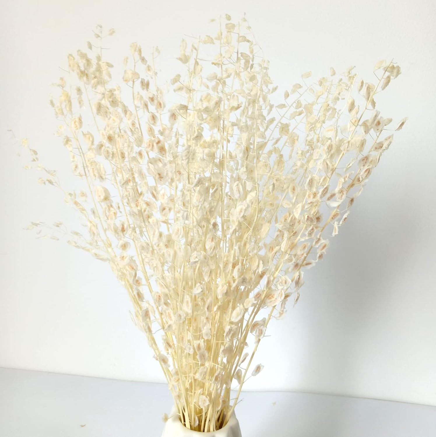 Dried Flowers Mini Lunaria Natural Bleached White Lepidium