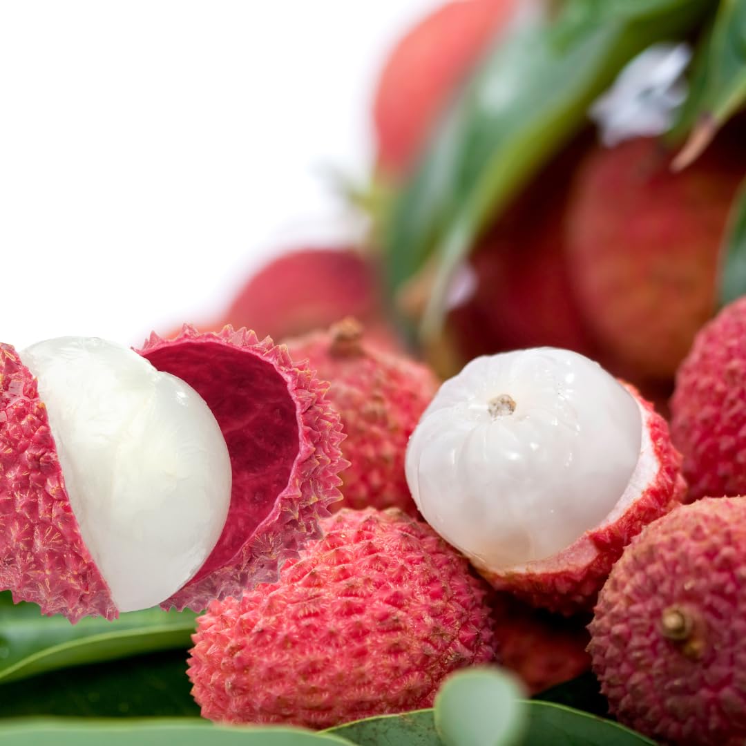 Litchi o Ciliegia Cinese Pianta da Frutto Esotico | Kway May Pink Litchi Chinensis - Vaso 18x35 cm Altezza 55 cm (fuori vaso)